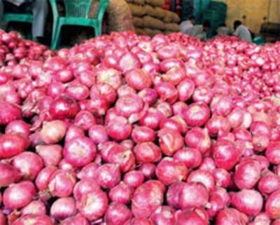2,400 tonnes of onion from Egypt to check prices: Govt