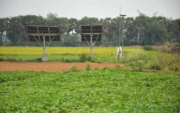 In Singur, agri roots & job dreams divide generations