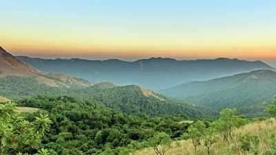 Ghat Busters: More trees being chopped in Western Ghats; many tributaries will dry up, experts say