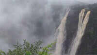 Monsoon magic: World famous Jog falls in Shivamogga in full flow 