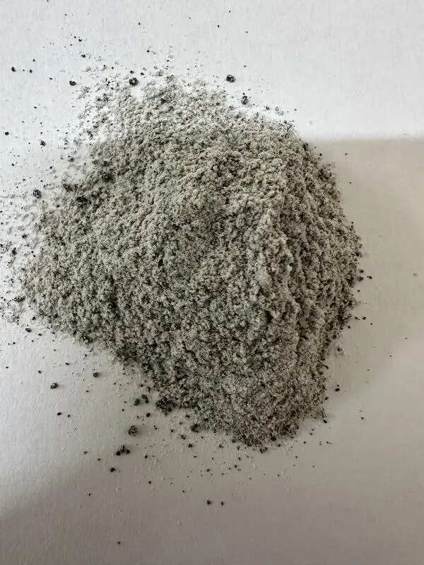 IIT Madras researchers turn moon soil into material for future lunar habitats