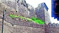 'Treasure hunters' dig a 20-ft deep tunnel inside ASI-protected site in MP
