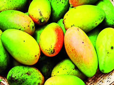 IIHR showcases diverse jackfruit, banana, mango