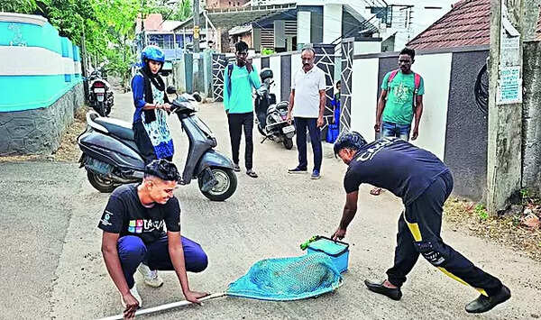 Ring vaccination drives check spread of rabies in the capital