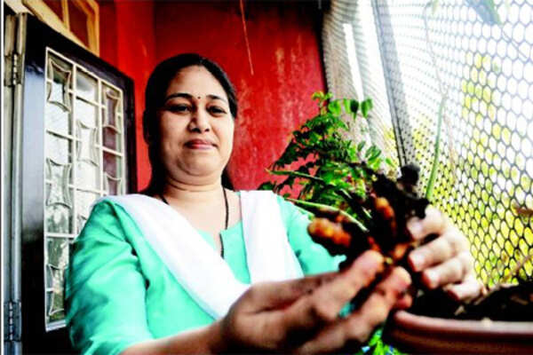 Herbs enough to beat fever and diabetes