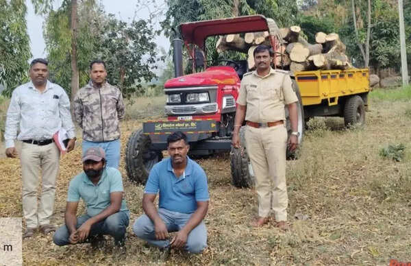 Kolhapur forest dept takes action against illegal transportation of wooden logs