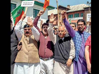 BJP J&K gen secy gives up security cover in protest