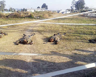 Border breach: BSF struggles to find cover