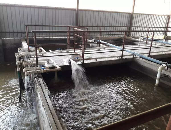 Rivers, groundwater under threat as STPs in societies fall into disuse in Pune and Pimpri Chinchwad