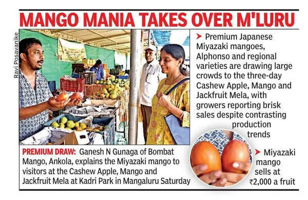 Mango lovers bite into luxury at Kadri Park mela