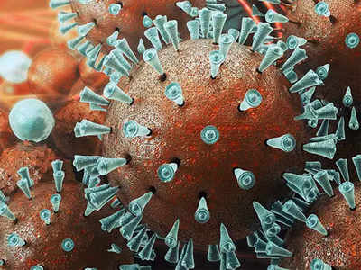 Coronavirus gives fragile Rohtang Pass recovery time
