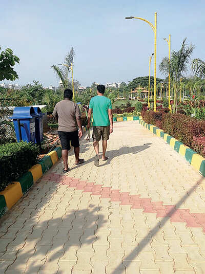 Walkers’ ‘green’ thumb proving costly to park