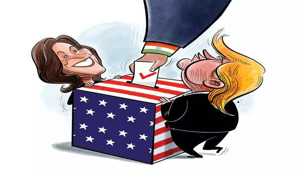 Electing Big Chief, And The Indians