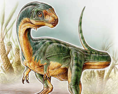 Bizarre ‘platypus’ dinosaur: Vegetarian relative of T. rex