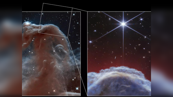 Capturing celestial charm: James Webb Telescope reveals Horsehead ...