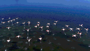 What is &lsquo;flamingo revolution&rsquo; and how is it linked to Trump&rsquo;s son-in-law?