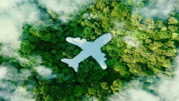 Discover eco-luxury travel: Sustainable destinations for conscious travellers