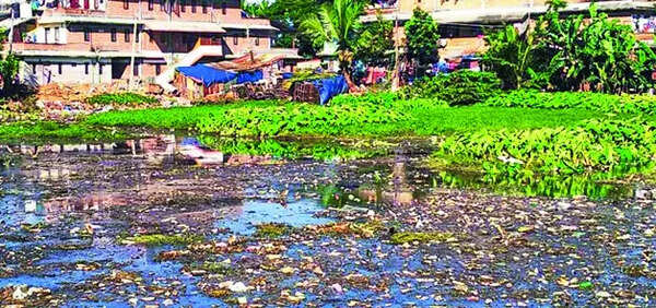 Desilting of waterbodies a costly affair, reveals RTI