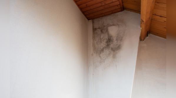 Mold and moisture