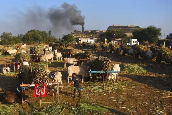 Industries raise alarm over possible sulphuric acid shortage, warn of impact on fertiliser, chemical sectors