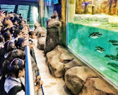 No taker for big-ticket revamp of Byculla zoo