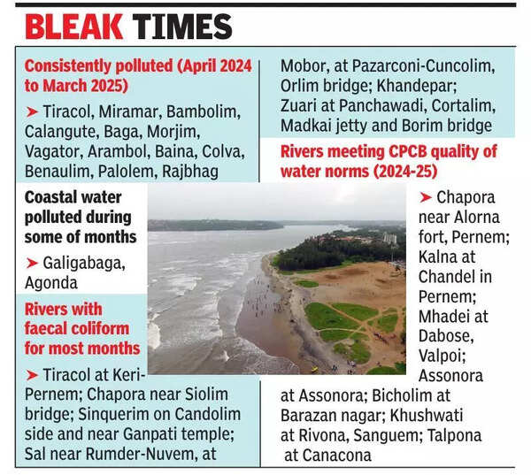 Most Goa beaches polluted, unfit for bathing, fishing, water sports