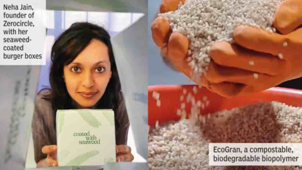 From seaweed-laced burger boxes to mycellium-based packaging: Alt-Packaging pioneers take on plastic
