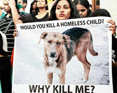 SC for humane killing of certain kind of stray dogs under law