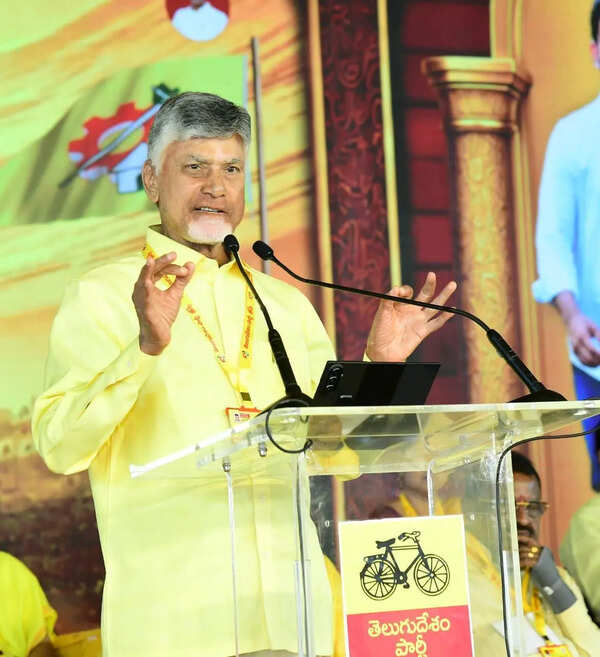 Naidu asks TDP cadre to gear up for local body elections