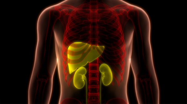 How to completely detox liver and kidneys