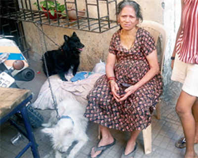 Catherine Chawl family’s dogs warned of danger