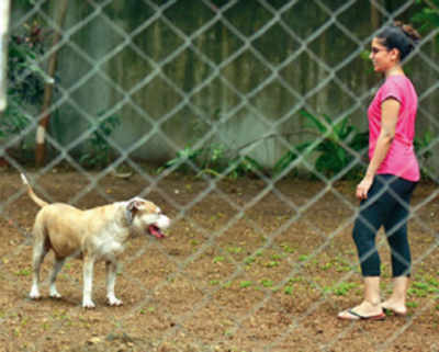 BJP wants space for pets at all civic gardens in the city