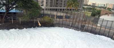 Bengaluru: BDA takes it upon itself to rid Bellandur of froth