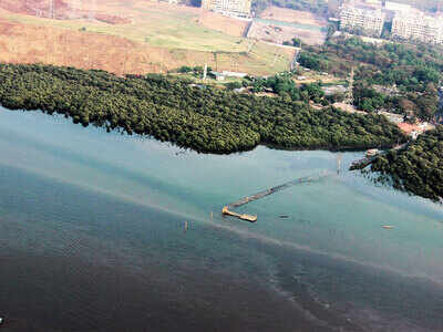 Bridge over Gorai creek gets coastal zone green signal