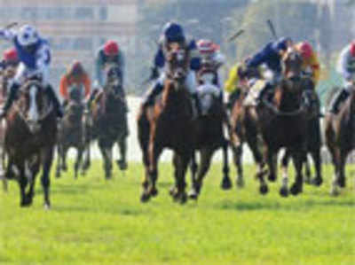 Turf Club gets ready to cover its tracks; braces for Bangalore Club hearing today