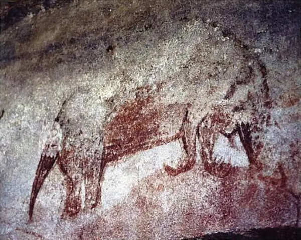 Forgotten fossils reveal the giant egg-laying mammals of ancient Australia