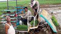 Covid-19 crisis: Goans on a mission to grow more greens, after lockdown blues 