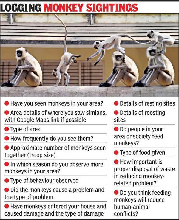 Ahmedabad to map monkey menace with first census