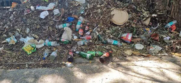Lights out, trouble on: Vijaynagar colony grapples with drugs, booze