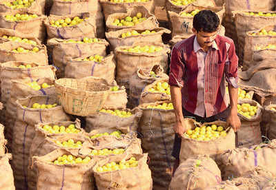 Karnataka: Geographical Indication tag for state lemons