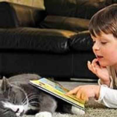 Stray cat brings four-year-old autistic boy out of his shell