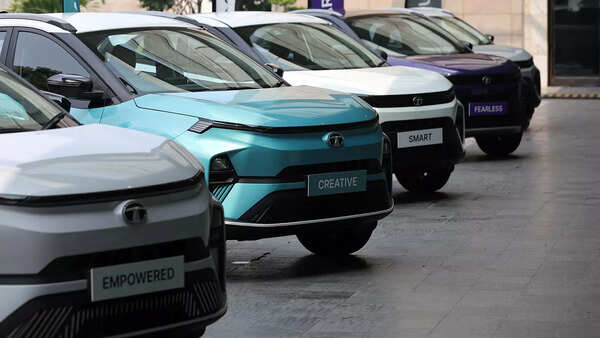 Green cars or passive emitters? The hidden truth about EVs in India