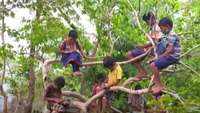 Maharashtra: Exhausted network forces students to sit atop tree to get education through smartphone in Dhadgaon village 