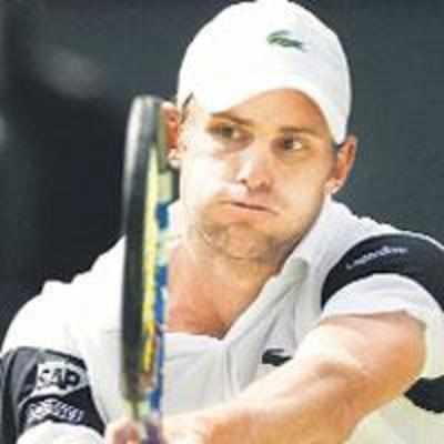 Andy Roddick enjoys studying vital stats