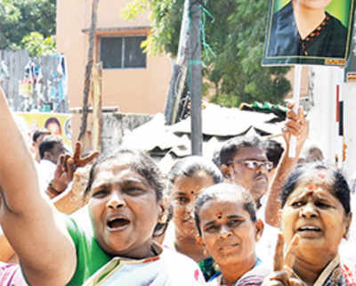 Bypolls: Ruling parties hold sway; BJP, TMC share honours in LS