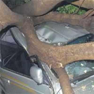 Damage to cars at CM's home to benefit you