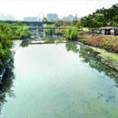 New drainage lines in Nerul '˜polluting' creek