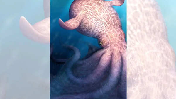 A massive kraken-like octopus may have prowled the seas during the age of dinosaurs