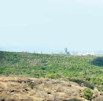 Use remote sensing, no digging in SGNP: Forest dept to BMC