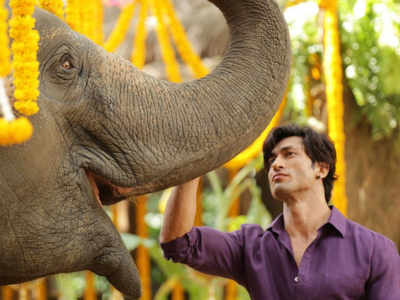 Vidyut Jammwal’s action-adventure collects Rs 19.70 crore in six days